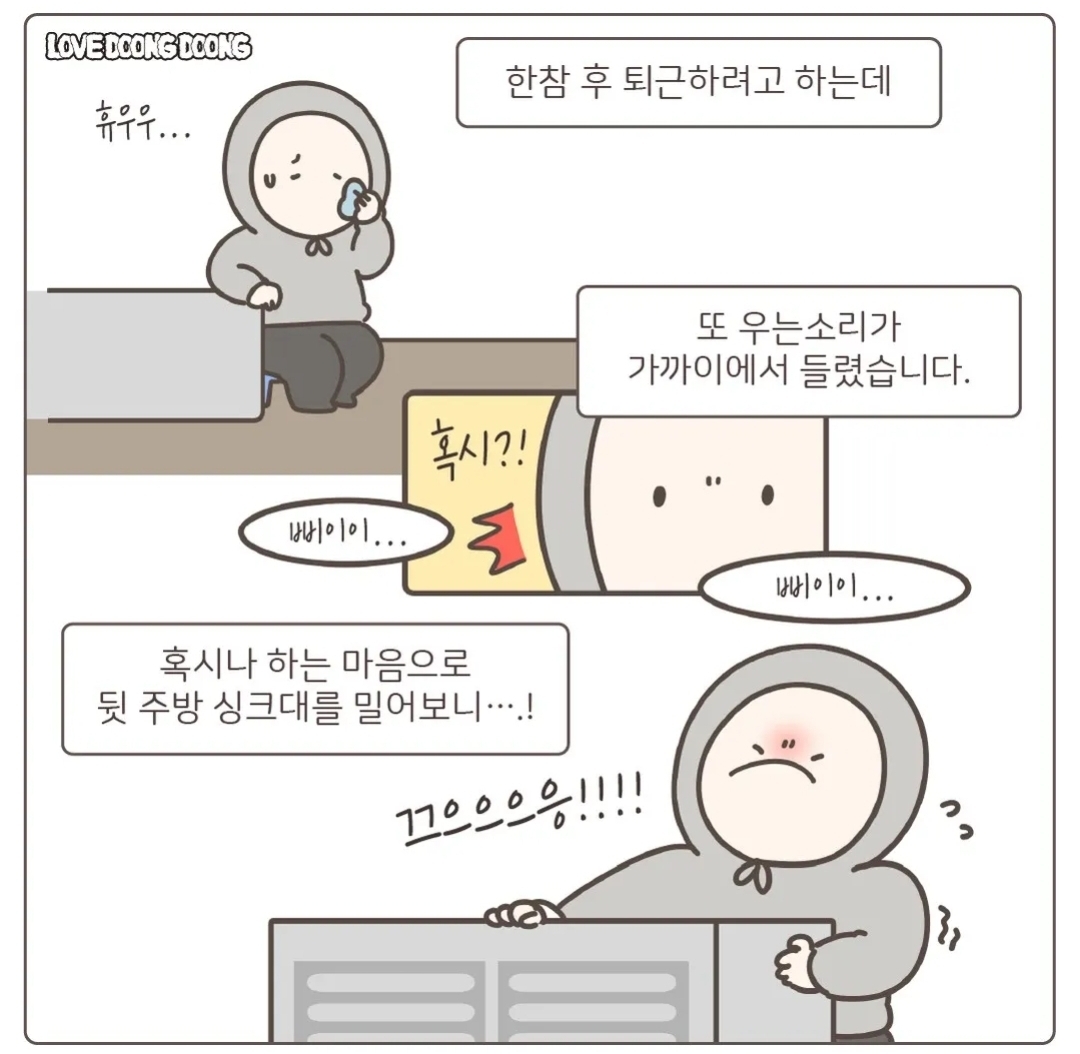 주방 싱크대 뒷편 호스에 매달려있다가 구조된 아기 고양이.jpg | 인스티즈