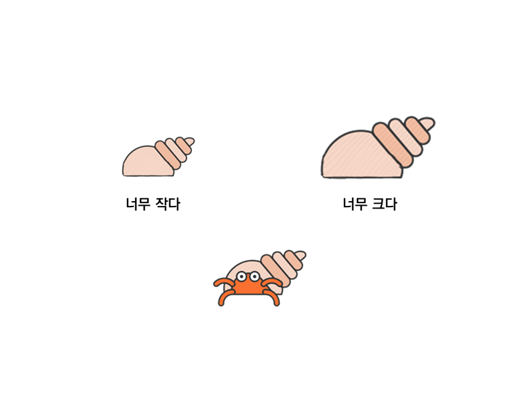 소라게의 새 집 구하기 | 인스티즈