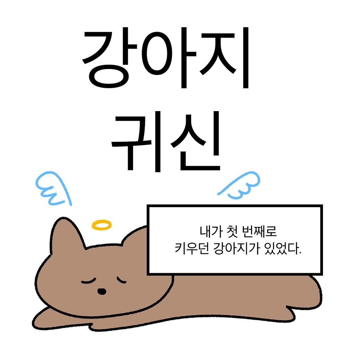 반려동물을 떠나보낸 사람이라면 공감할 인스타툰 | 인스티즈