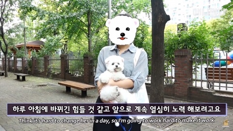 돌멩이를 물고 다니는 강아지 | 인스티즈