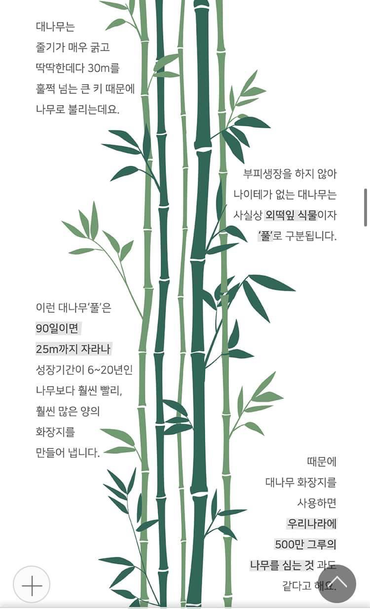 그냥 나무로 만드는 화장지 보다 대나무화장지가 더 환경보호에 도움된다고 함! | 인스티즈