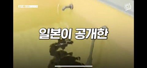 방사능 오염수에서 자란 맛 좋은 일본 광어 | 인스티즈