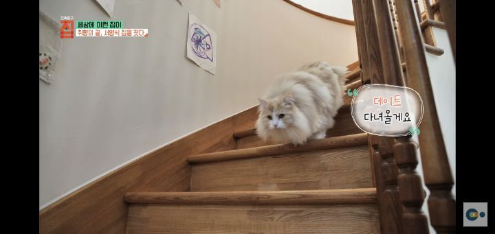 번아웃 후 해리포터 집을 지은 사랑스런 부부(무려 한국!!) | 인스티즈