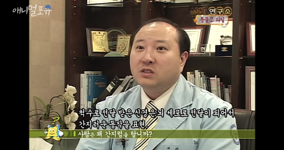 오랑우탄도 간지럼을 탈까? | 인스티즈
