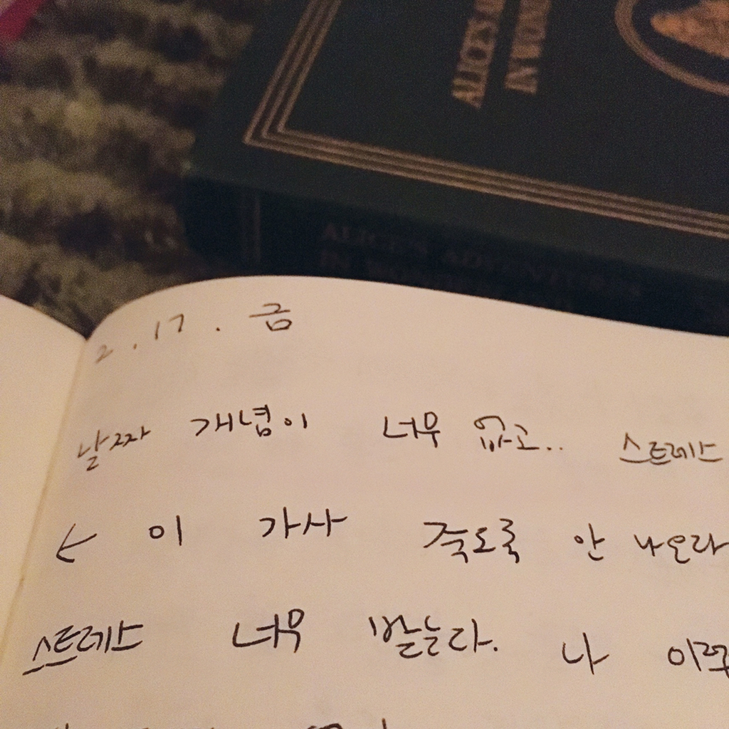 아이유의 일기장 | 인스티즈