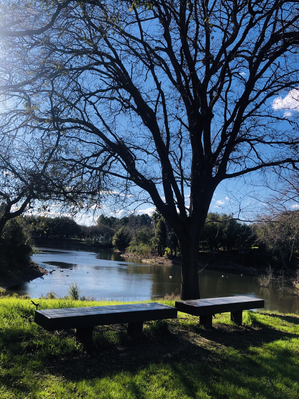 INFP만 사는 나라 이야기 | 인스티즈