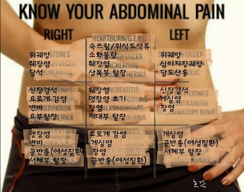 통증 부위로 보는 배가 아픈 이유 | 인스티즈
