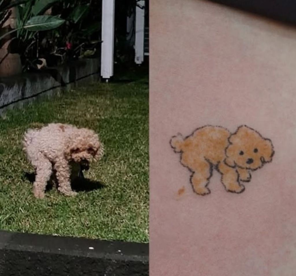 애매한데 비슷한 느좋 동물 타투들 | 인스티즈