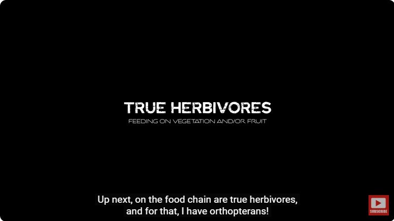 거대한 수조에 열대우림 환경을 조성해놓으면 생기는 일 - 2 | 인스티즈