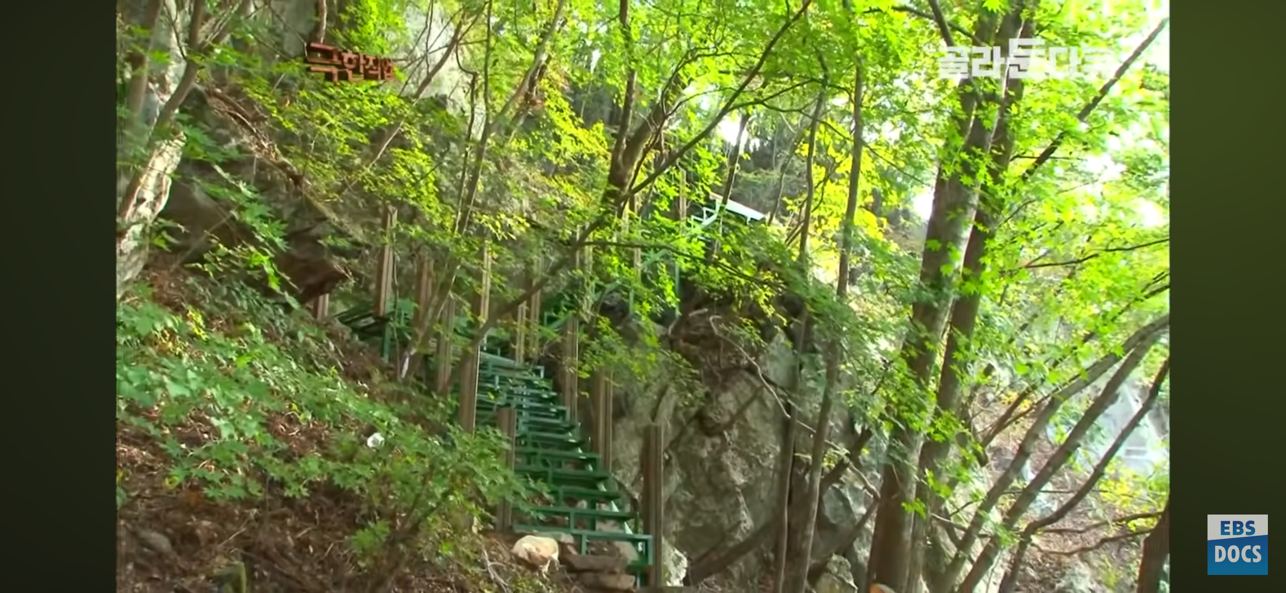 등산로, 어떻게 만들까?.jpg | 인스티즈