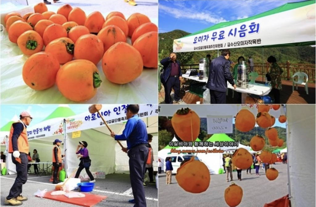"나이 먹어서 그런가 무근본 지역 축제가 점점 흥미롭게 느껴짐" | 인스티즈