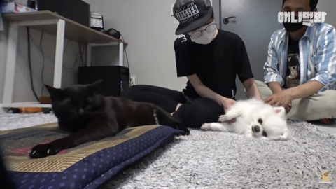 밤낮없이 집 도어락을 누르는 누군가때문에 고민인 부부 | 인스티즈