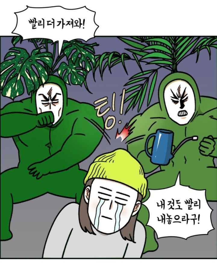 다육이 키우는 초보자들이 제일 많이 하는 실수 | 인스티즈