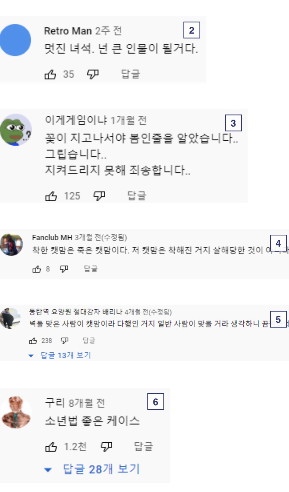 디씨인사이드 야옹이 갤러리 역대만행정리 (잔인함 주의) 사진 | 인스티즈