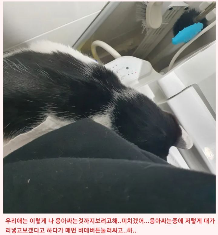 436ffbf2729b5ff08c3488103fff9bfa496ad31d