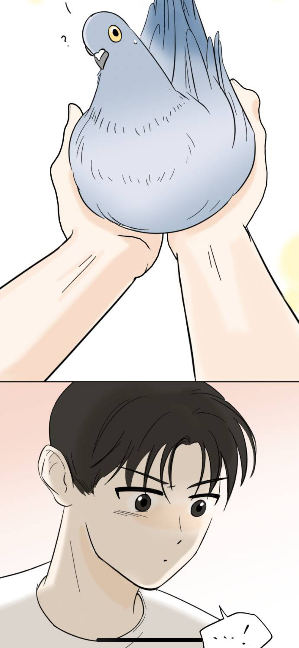 아니 내가 살다살다 비둘기를 볼려고 돈을쓰네 | 인스티즈