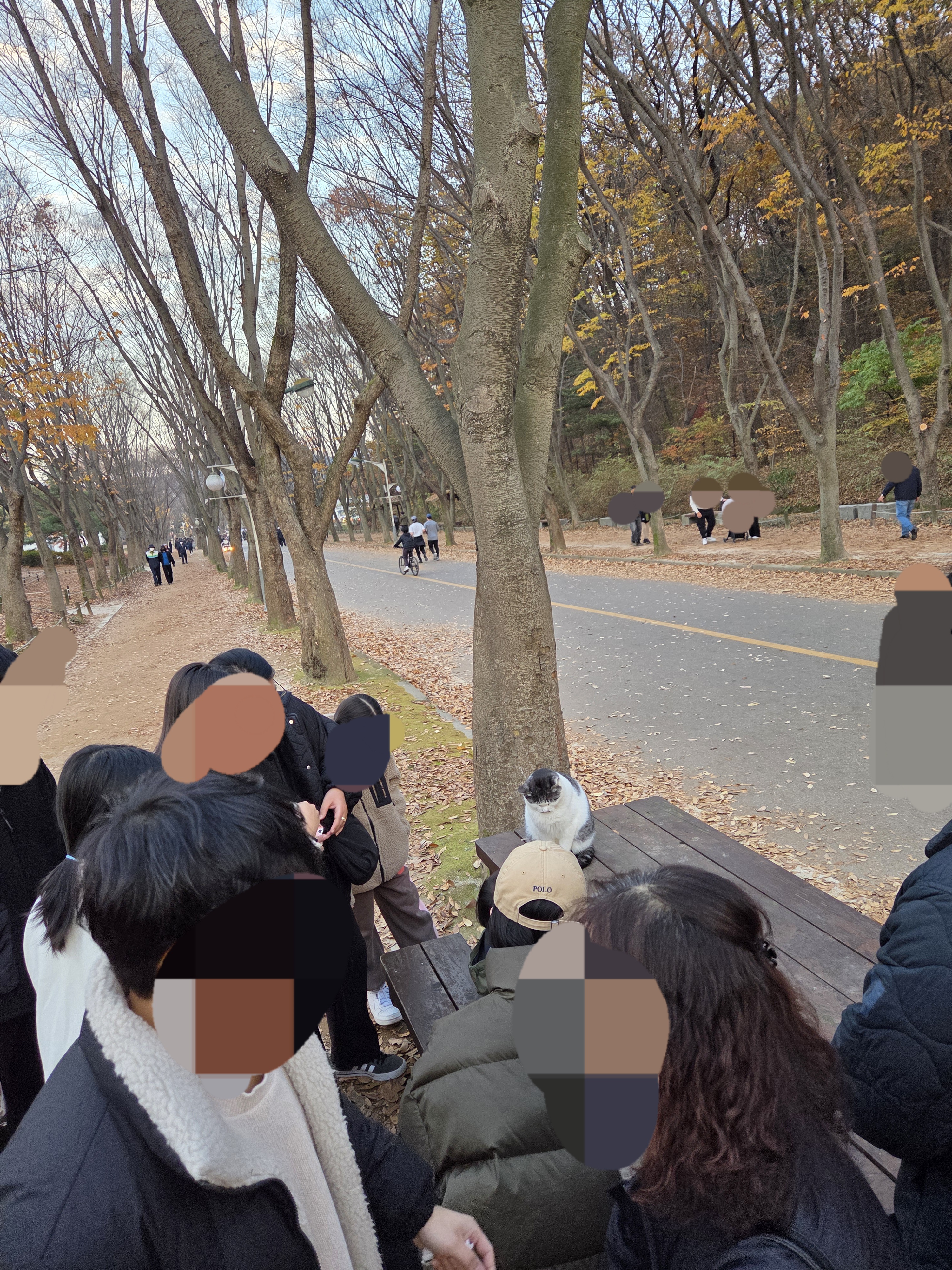 고양이 잔다 | 인스티즈