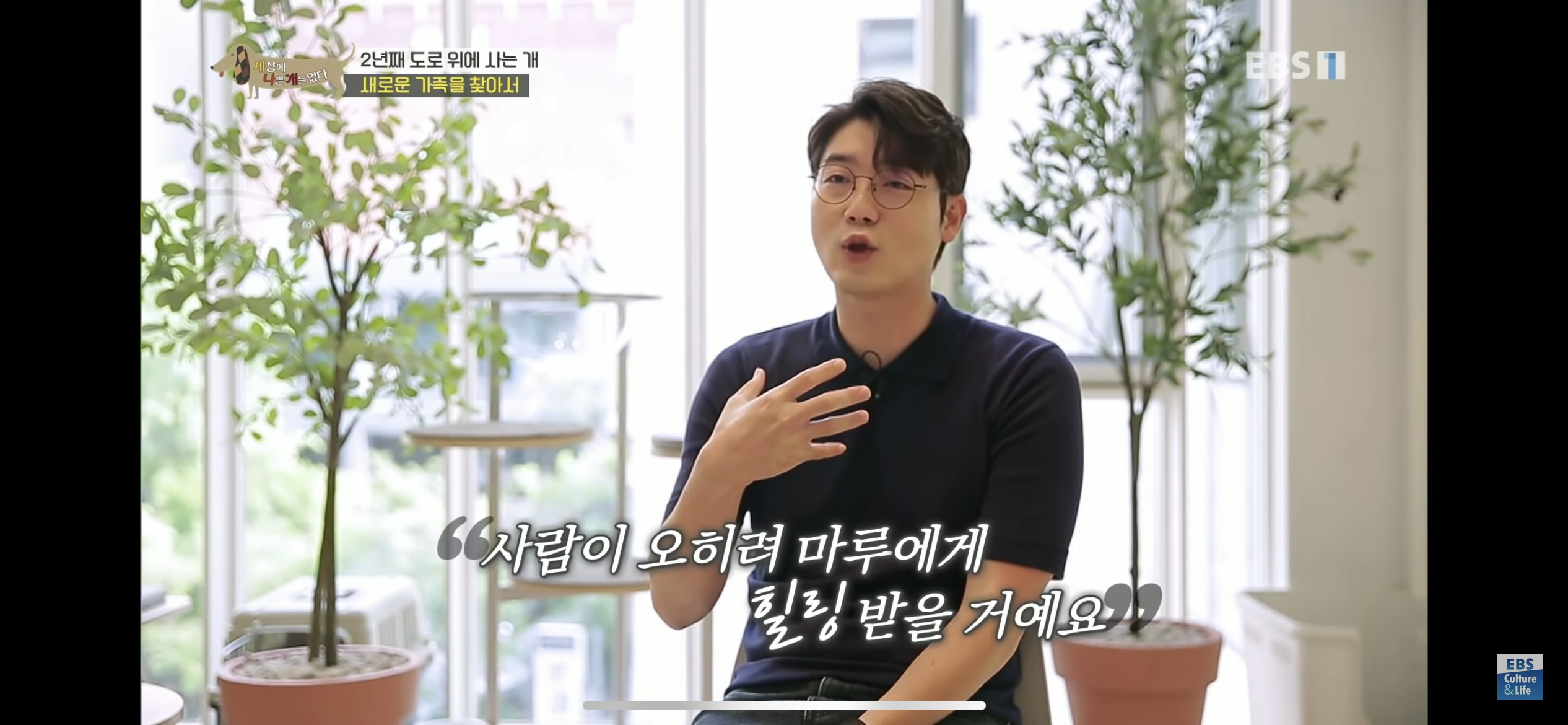 2년동안 도로 위에서 위험하게 생활했던 유기견 마루 | 인스티즈