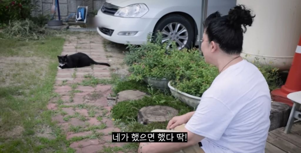 신발 물어 뜯은 고양이 찾아간 이영자 | 인스티즈