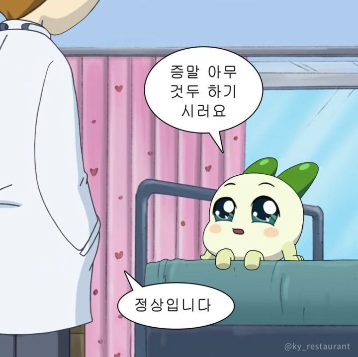 커리어적인 욕심 없는 달글 | 인스티즈