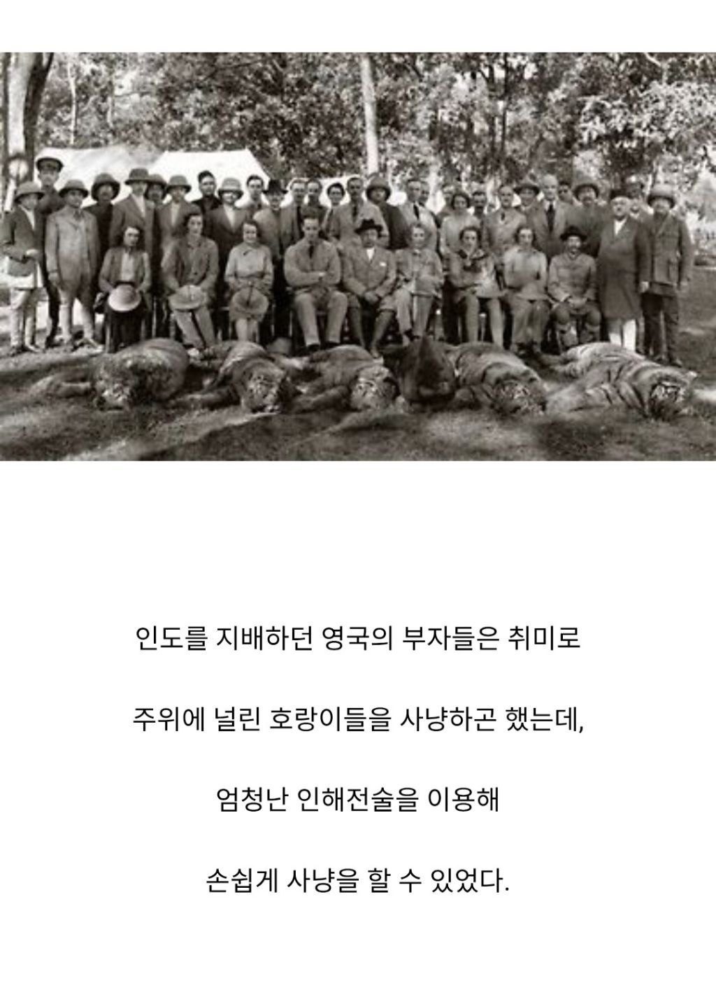 인도와 네팔을 다니며 약 400여명을 죽인 호랑이 | 인스티즈