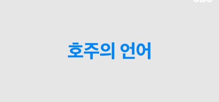 호주인들 국뽕차게 만든 ODG 호주 소개컨텐츠 (애기들 데리고 찍는거) | 인스티즈