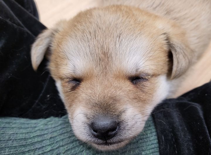 (공지라니... ++추가)새로생긴 회사 복지.. 미쳐서 도저히 일을 못하겠네.. (추가....)++추가 | 인스티즈