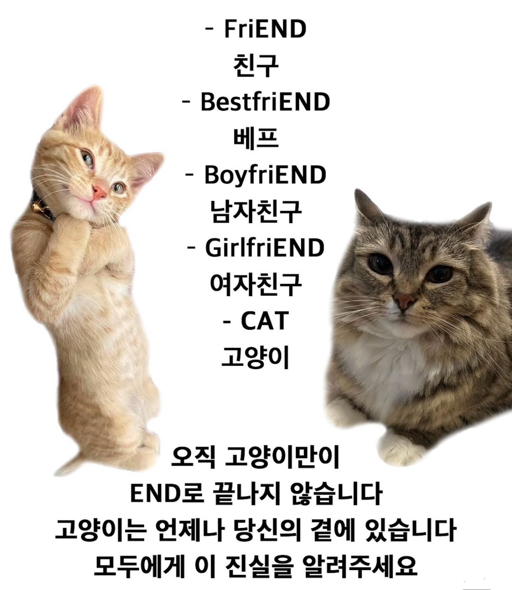 대박이네 이미지