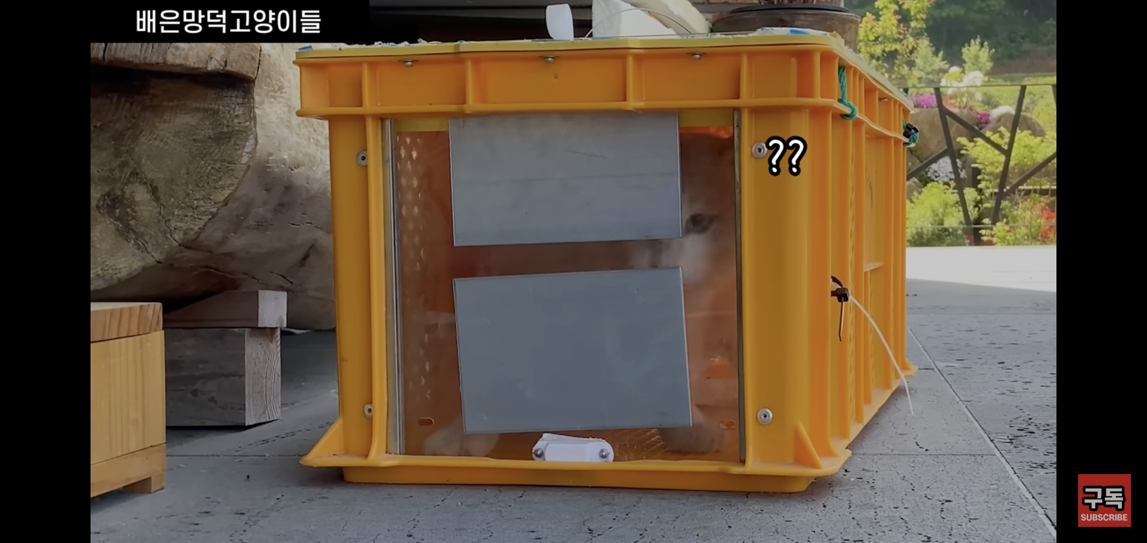 집 마당에 고양이가 나타나는 족족 다 잡아버리는 유튜버..jpg | 인스티즈