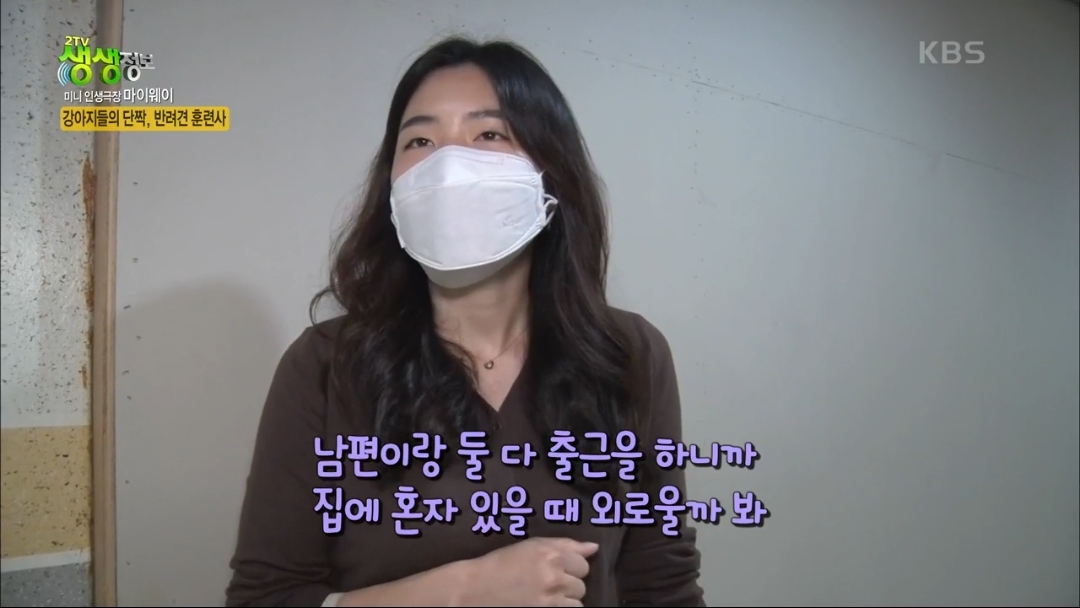 강아지 유치원.jpg | 인스티즈