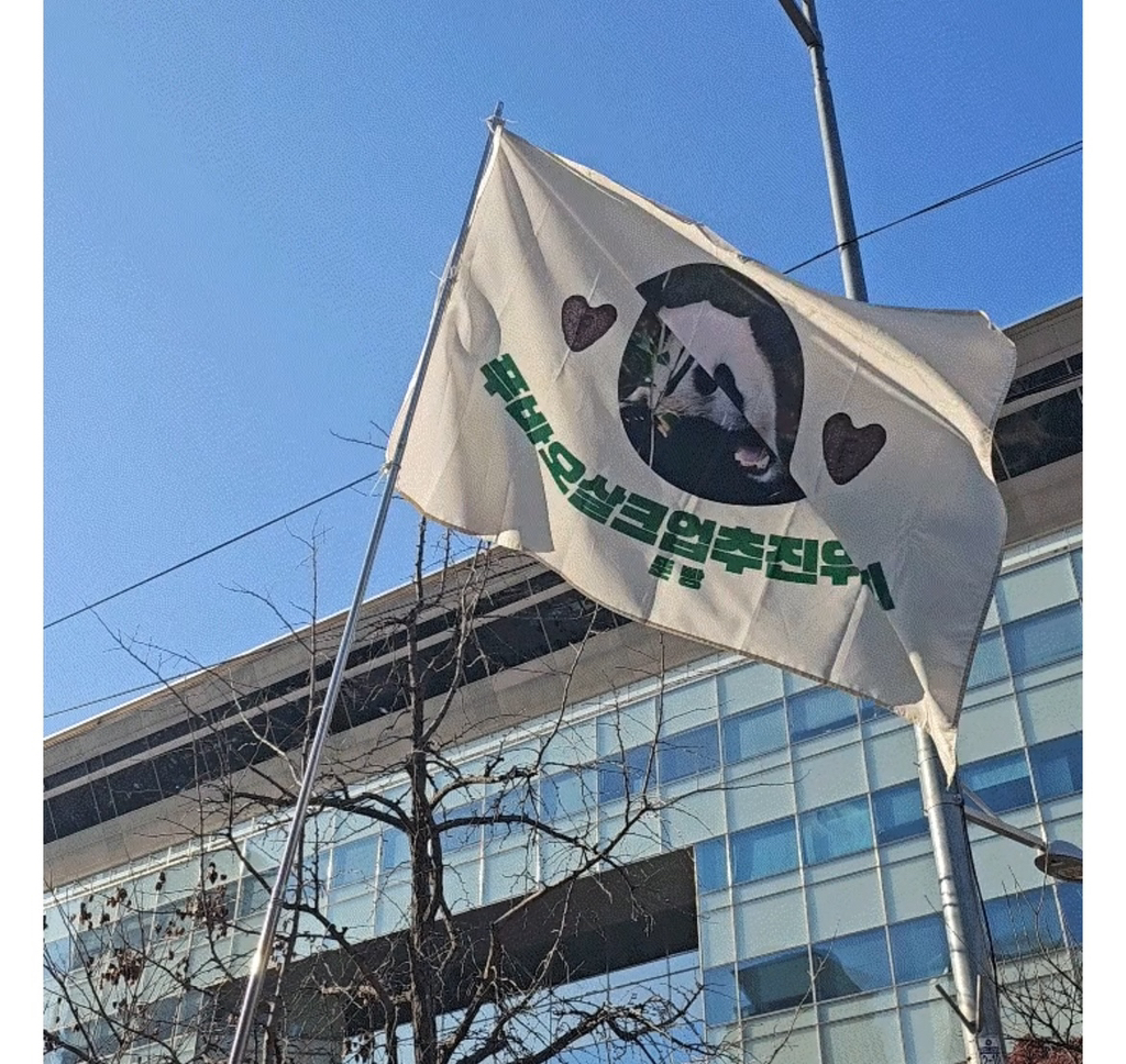 시위에서 푸바오 팬들의 깃발+응원봉 🐼 | 인스티즈