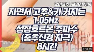 이해안되는 유튜브 컨텐츠 중 하나.jpg | 인스티즈