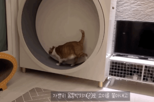 자기 아들 주려고 남의 딸 노는 거 뺏는 엄마;; | 인스티즈