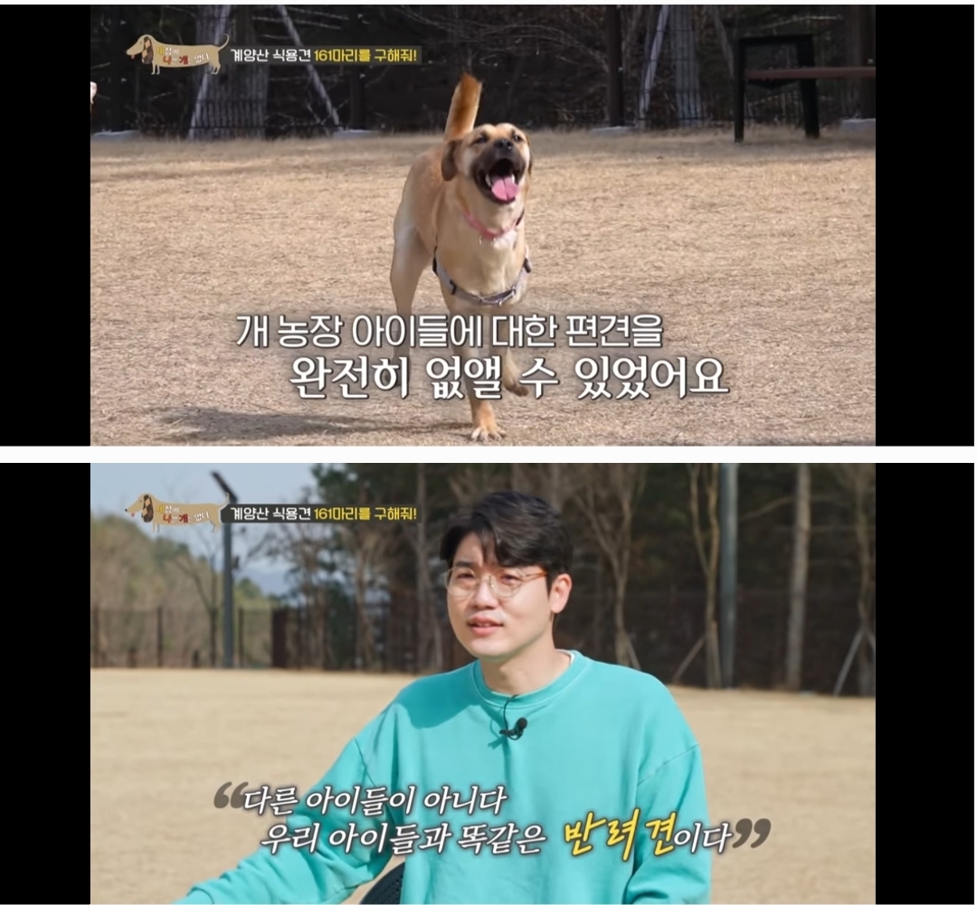 농장의집(영양탕) 이미지