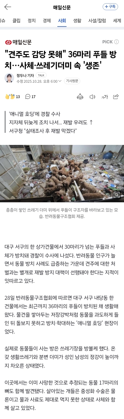 "견주도 감당 못해" 36마리 푸들 방치…사체·쓰레기더미 속 '생존' | 인스티즈