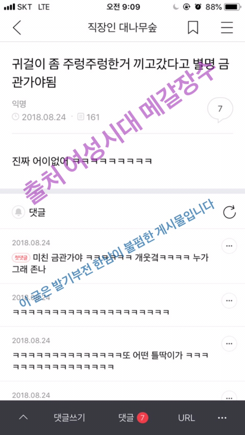 갤러리 짤털 짤털 짤털 짤털 짤털 짬털 (100장 깍 채움) | 인스티즈