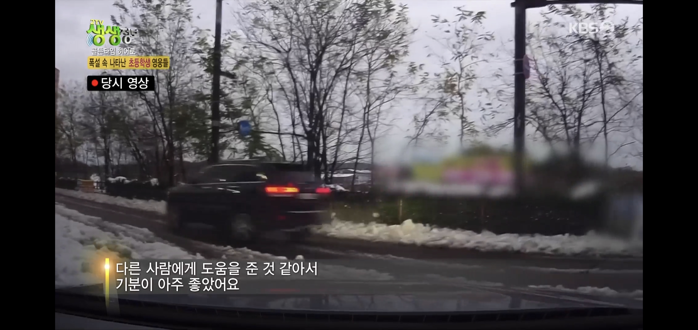 방금 생생정보통에 저번 폭설에 이슈였던 여시 나옴.jpg | 인스티즈