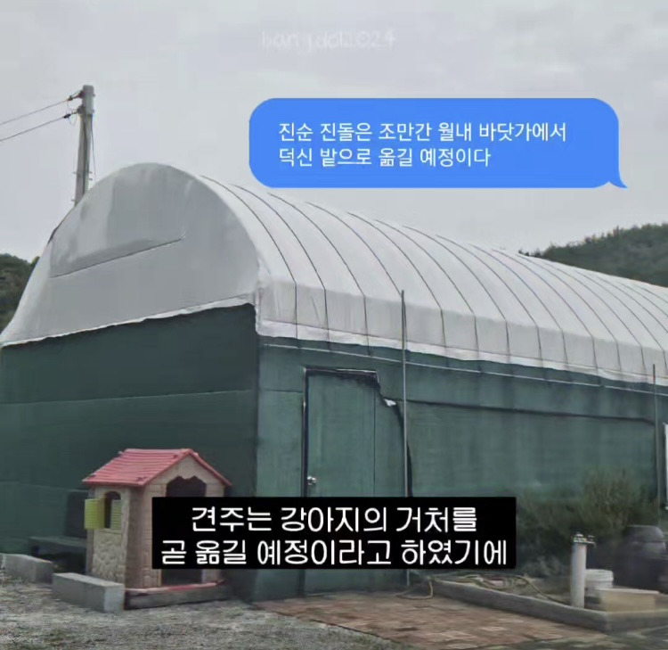 [입양홍보] 개장수에게 팔렸다 되찾아온 방치견 진순이·진돌이, 평생 가족을 찾아요! (부산/울산/전국) | 인스티즈