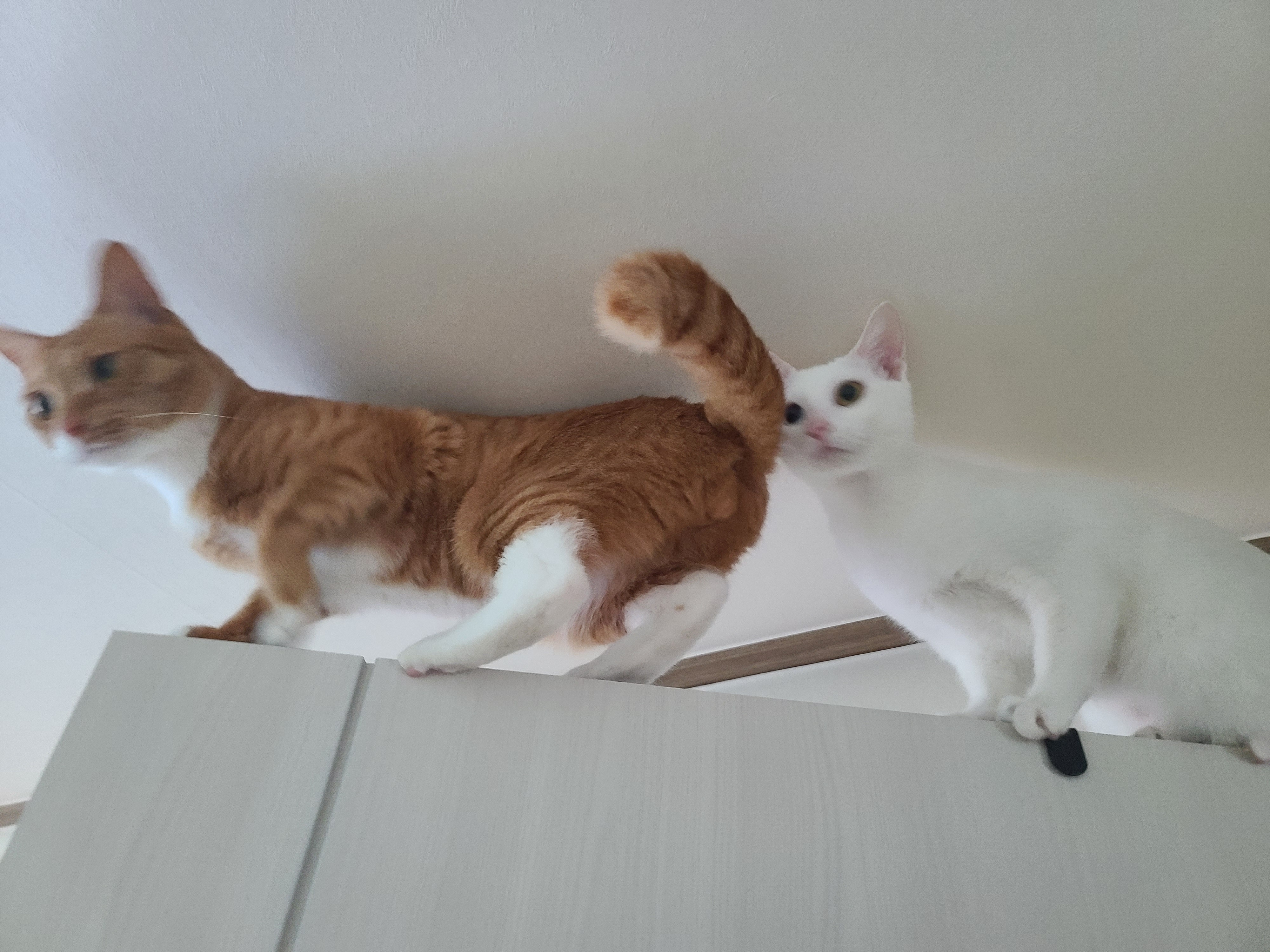 가... | 인스티즈