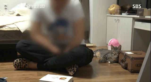 그것이 알고 싶다에 나온... 😽😽😽 | 인스티즈