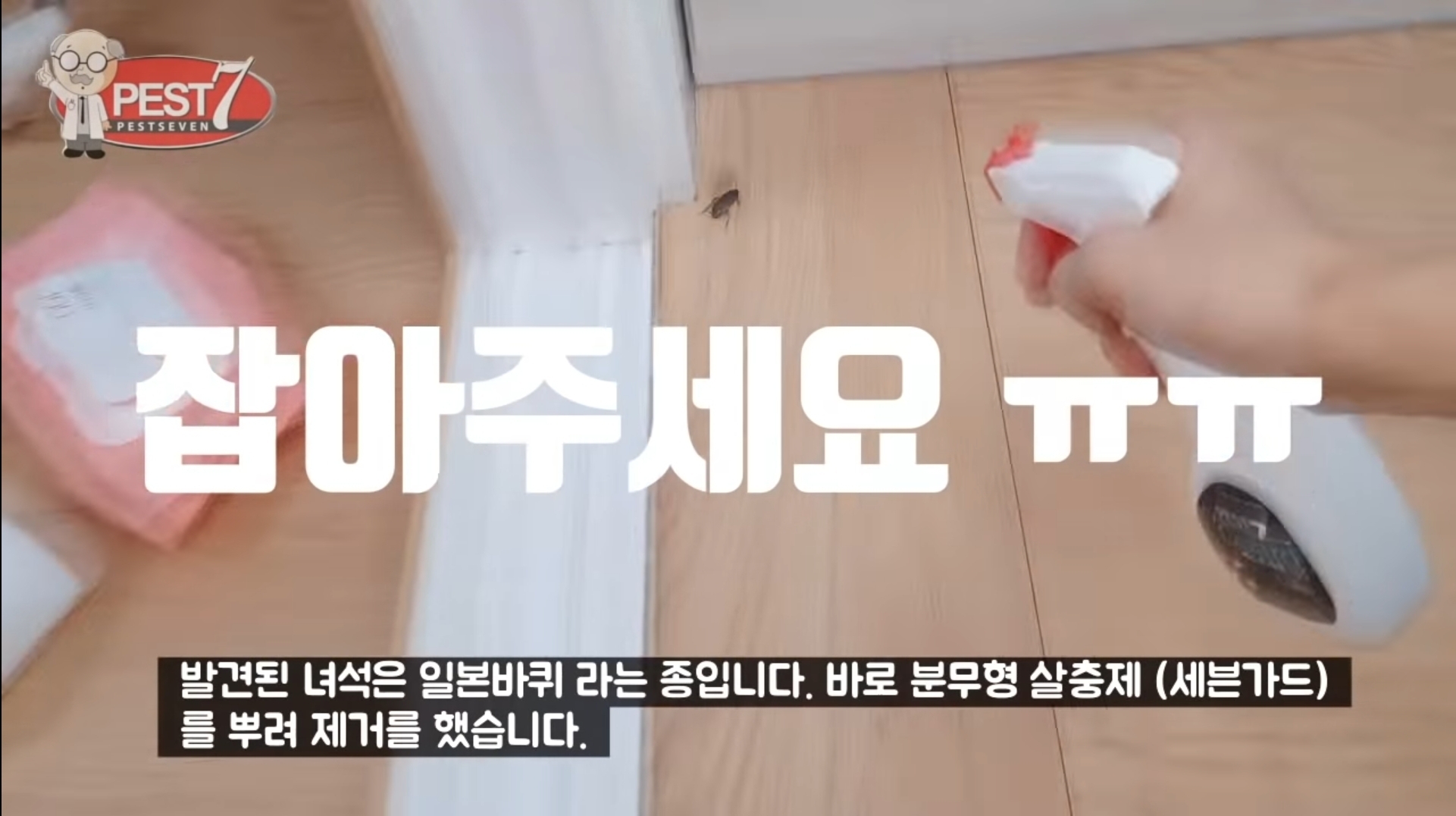 원룸 바퀴벌레 주요 유입구(벌레사진주의) | 인스티즈