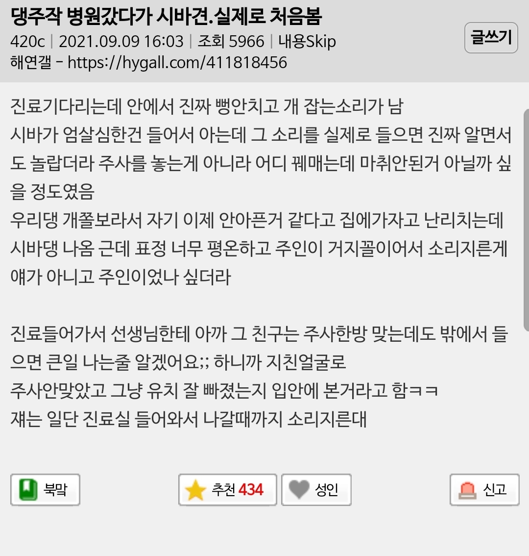 강아지 병원갔다가 시바견 실제로 처음봄 | 인스티즈