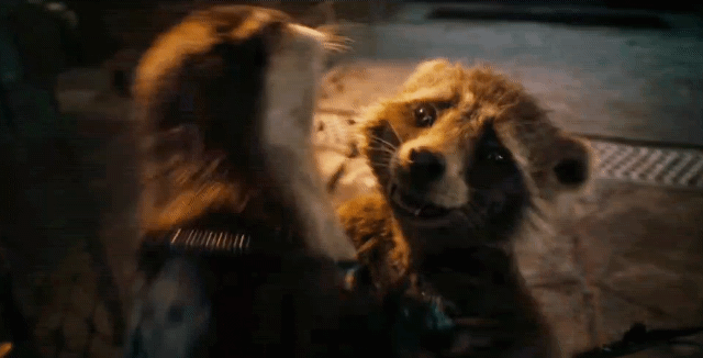 가오갤 로켓이 최애인 달글 (가오갤3에서 제발 안죽었으면하는달글) | 인스티즈