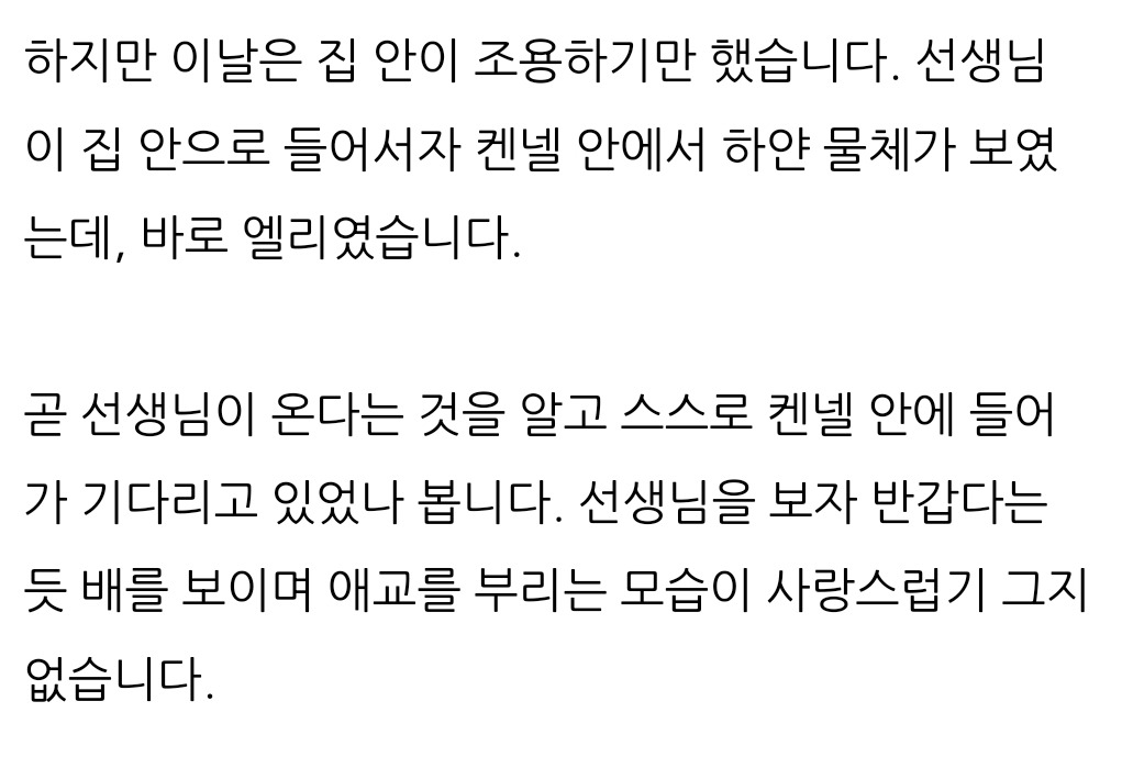 최애 강아지 유치원 선생님이 픽업하러오자..jpg | 인스티즈