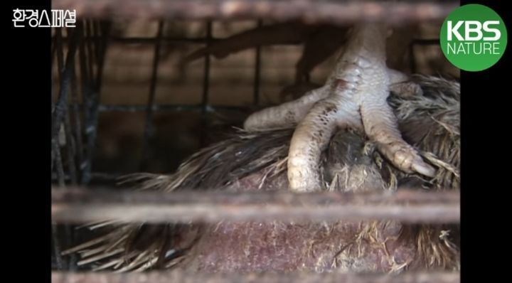 4510f11ce3ac11bef6424b517cefadd7a08b71b1