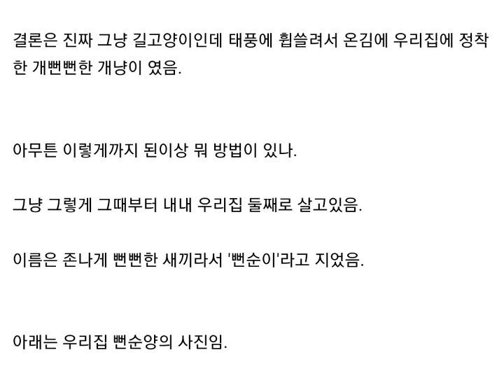태풍 3번이면 고양이를 얻는다. jpg | 인스티즈