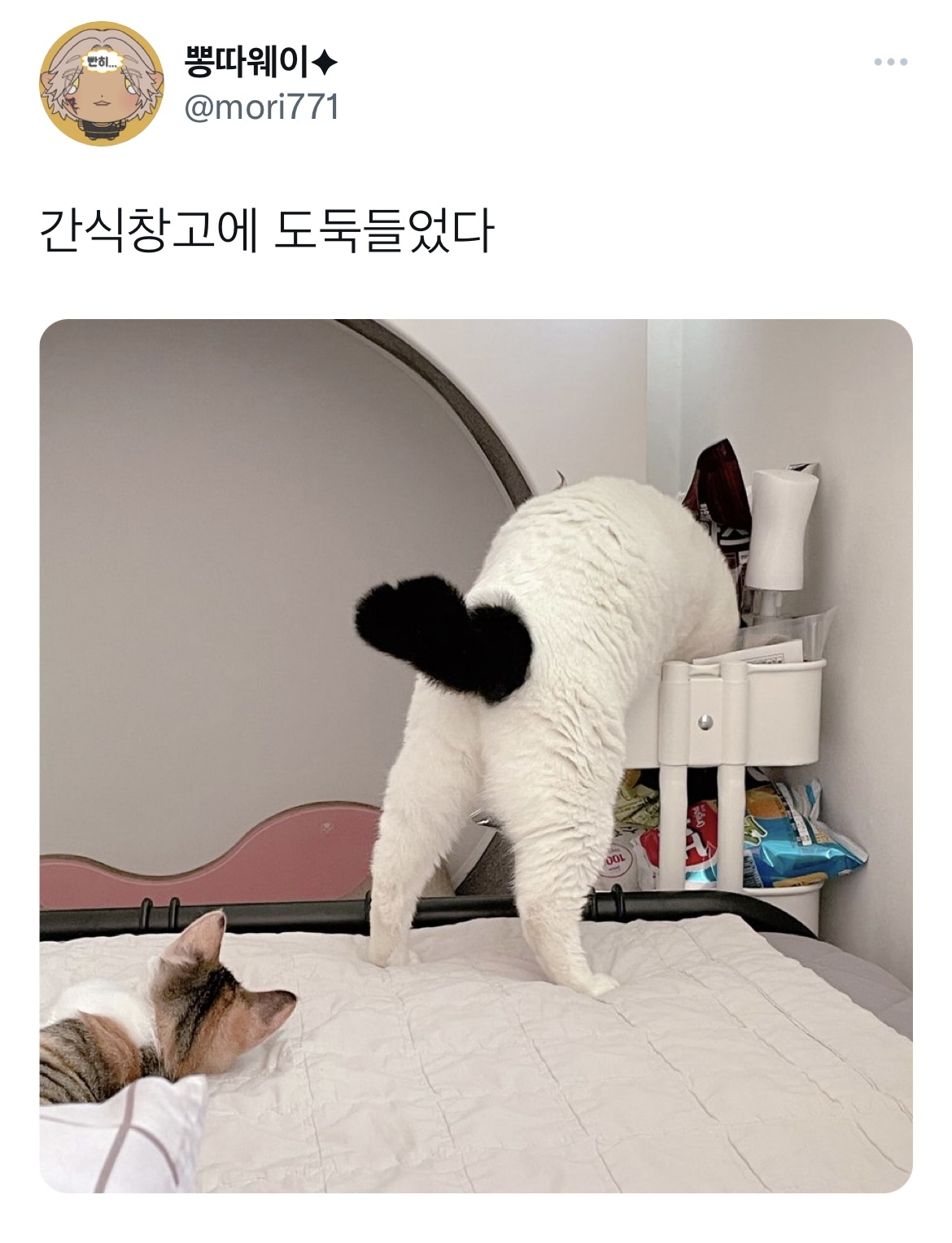 간식창고에 도둑들었다 - 악플달면 쩌리쩌려버려 - ＊여성시대＊ 차분한 20대들의 알흠다운 공간 간식창고에 도둑들었다