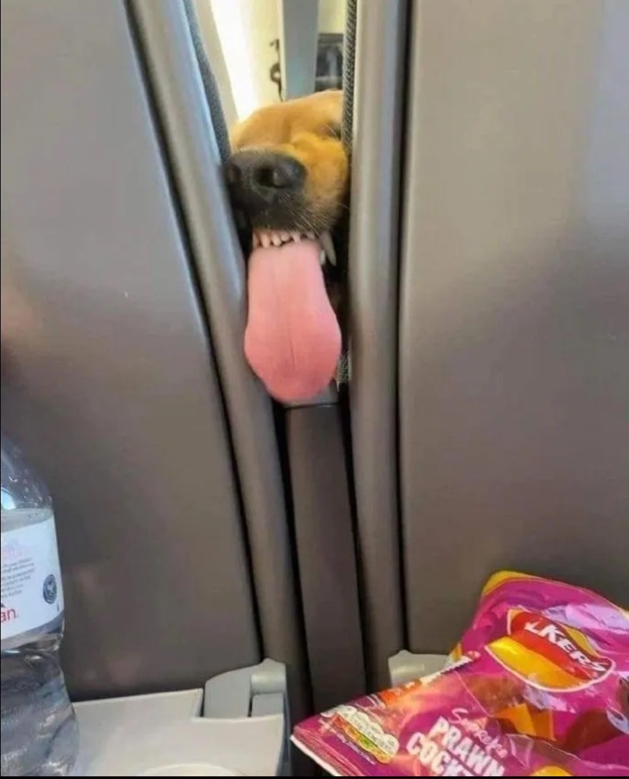 앞자리에 앉은 진상 손님 | 인스티즈