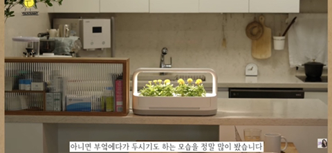 내가 사고 싶어서 찾아본 LG 틔운 미니 (가정 식물 재배기) | 인스티즈