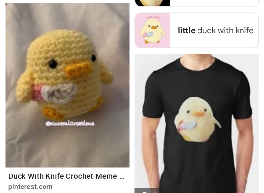 칼든병아리는 어디서 시작했을까 | 인스티즈